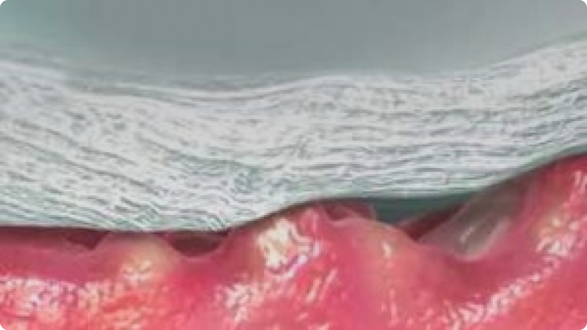 Un primer plano de los labios de una persona